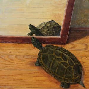 うちのかめ”いちご”　加藤桃子